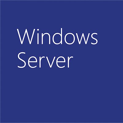Microsoft Windows Server Standard 2019, OLP Open License Multilingue