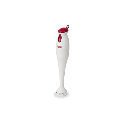 Mixeur plongeant Zilan ZLN7726 / 170 W, Vue principale