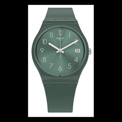 Swatch Ashbaya, Vue principale