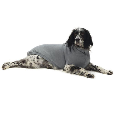 Pull Croci Turtleneck Moscow 25 CM - Gris, Vue principale