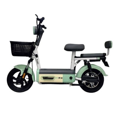 Scooter Électrique ECORIDE ZEN 600 Watts - Vert et Blanc, Vue principale