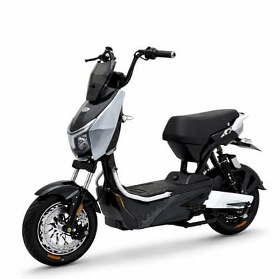 Scooter Électrique Wattgo WG016 1000W Gris, Vue principale