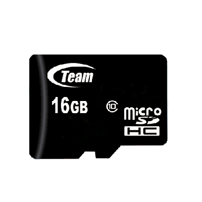 Team Group microSDHC 16GB 16 Go Classe 10